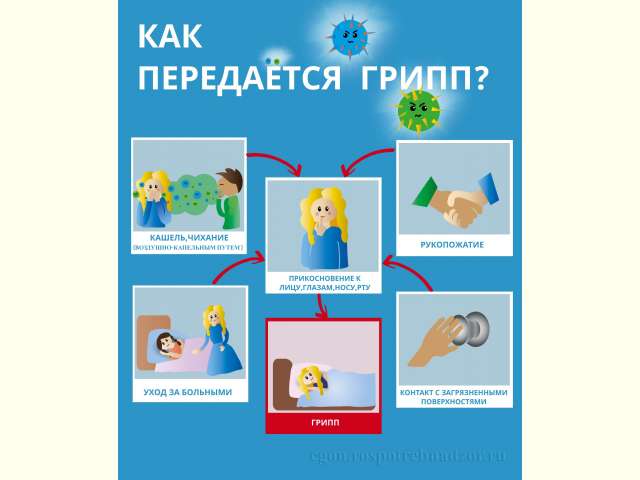 ������������ ������ � ����